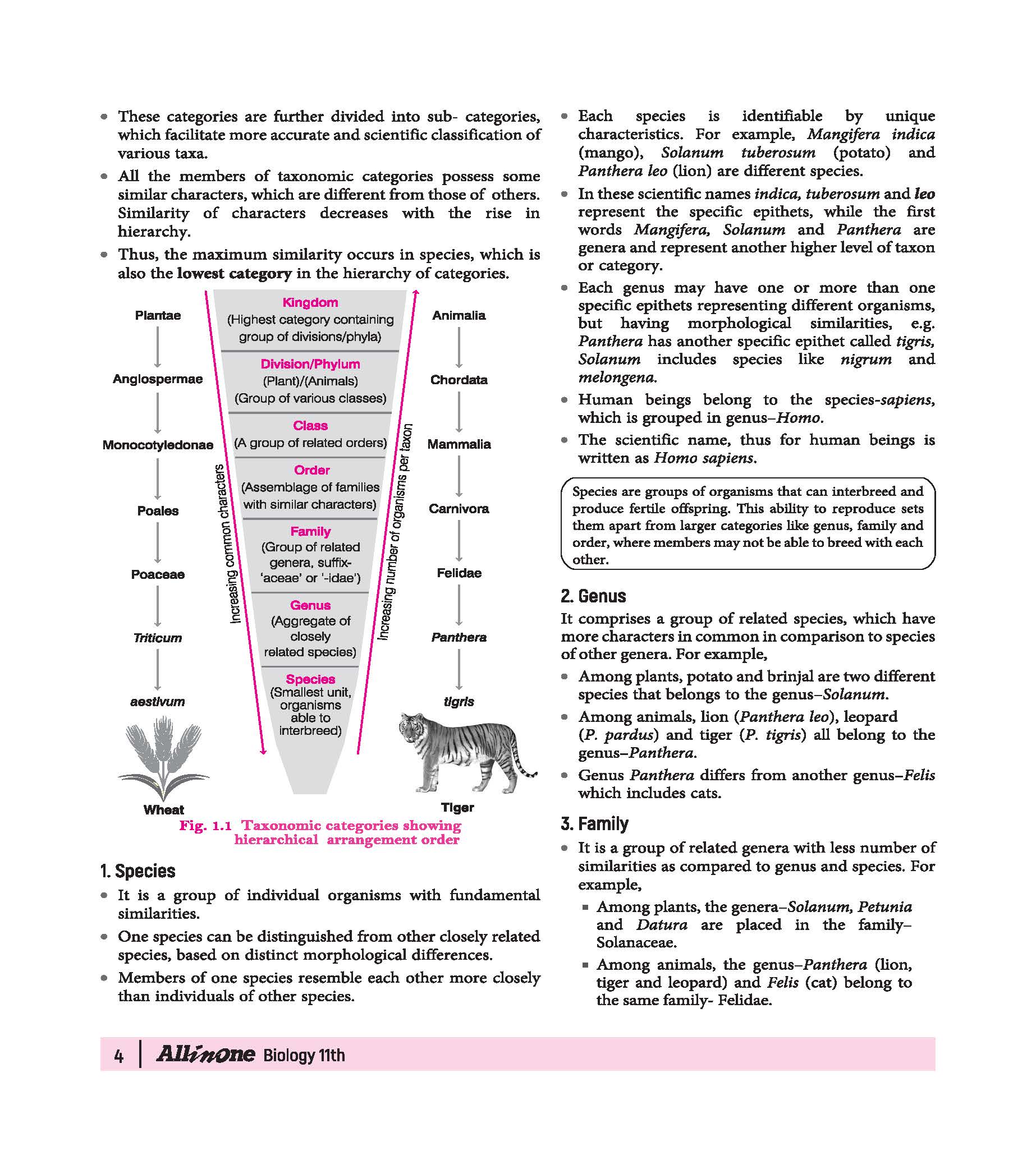 All in One Biology Class 11 for CBSE Exam 2026-27 | NCERT Based Complete Theory, Practice Exercises, CBQs, A-R, Sample Papers & Mind Maps | Revised Edition as per Latest Syllabus - Image 10