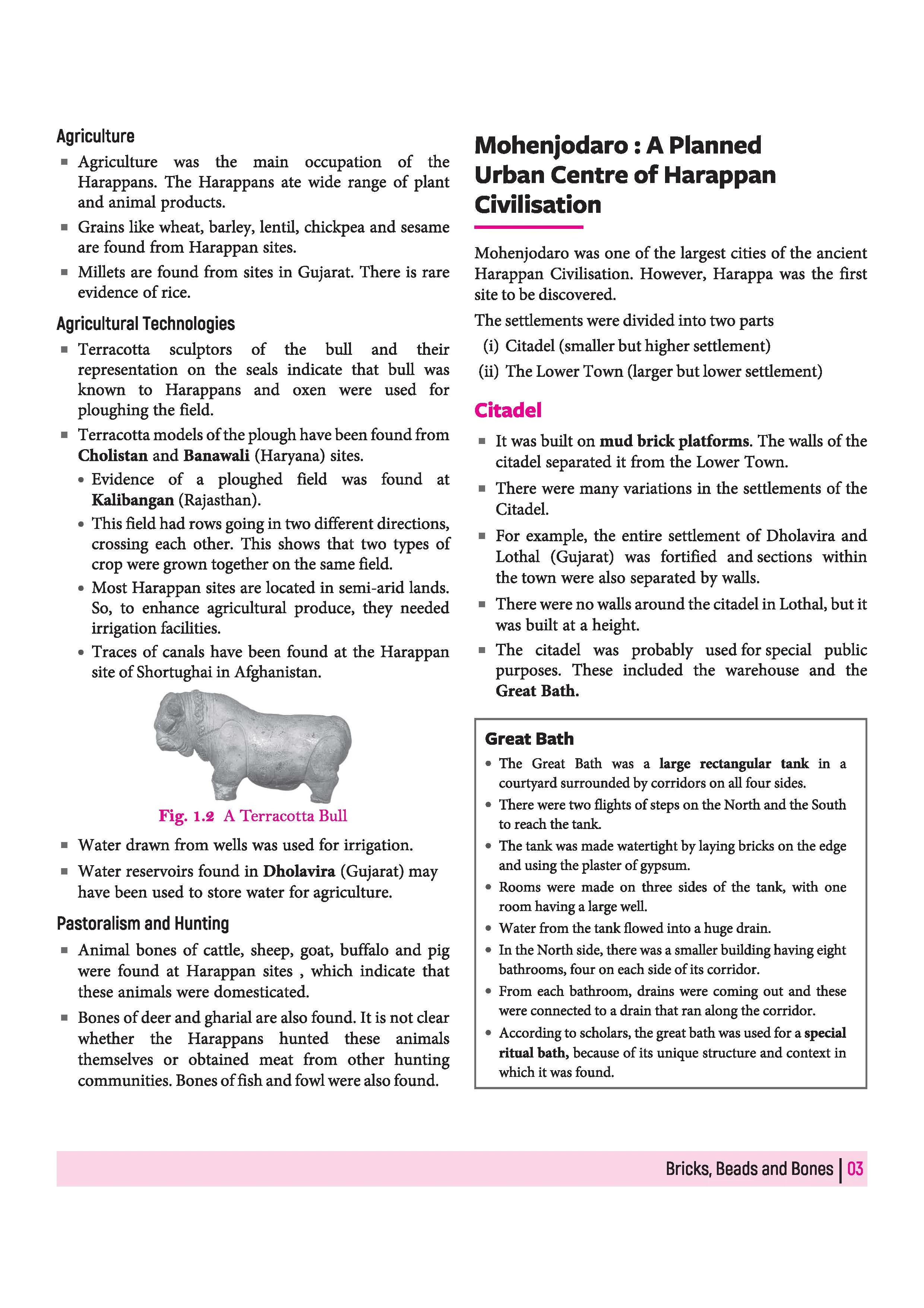 All in One History Class 12 for CBSE Exam 2026-27 | NCERT Based Complete Theory, Practice Exercises, CBQs, A-R, Sample Papers & Mind Maps | Revised Edition as per Latest Syllabus - Image 9