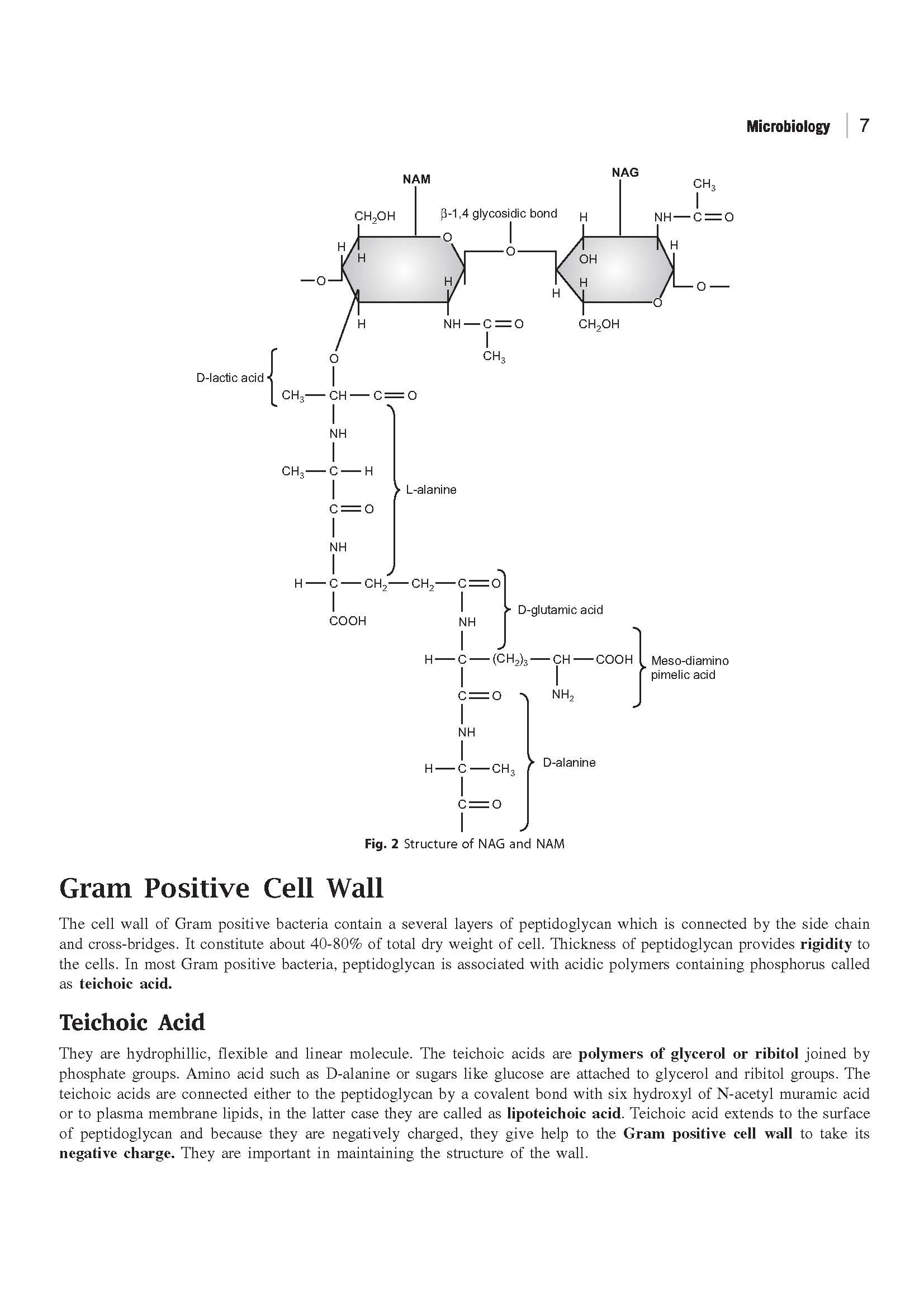 GATE Tutor 2027 Biotechnology | Solved Papers 2023–2026 & 3 Mock Tests | Complete ECE Preparation Book | Pfo. BM Agarwal, Akansha Singhal, Vidhika Goel - Image 8