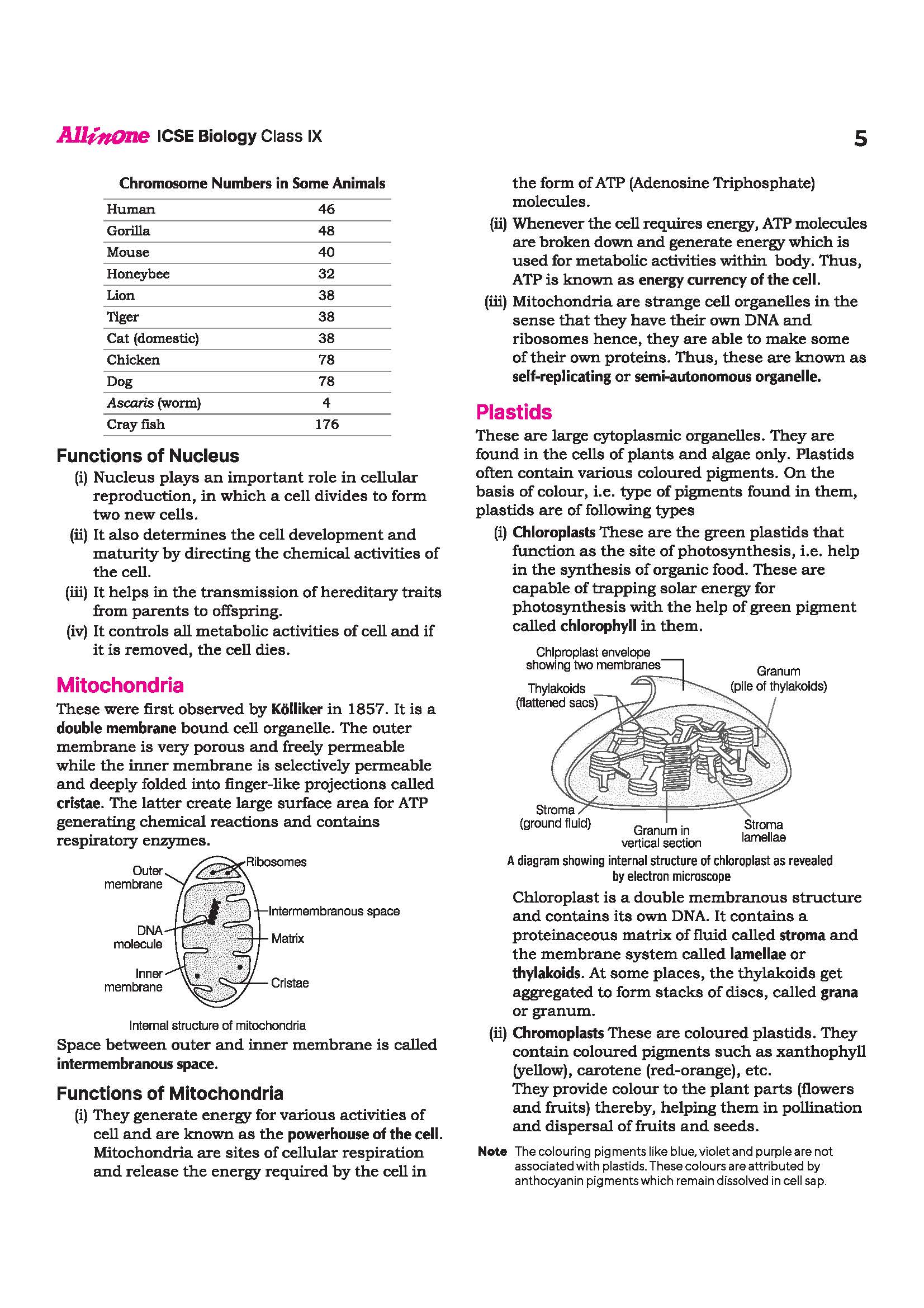 ICSE All in One Biology Class 9 Exam 2027 | Complete Study Guide with Internal Assessment | Theory, Chapter Exercises, Sample Papers & Exam Questions - Image 10