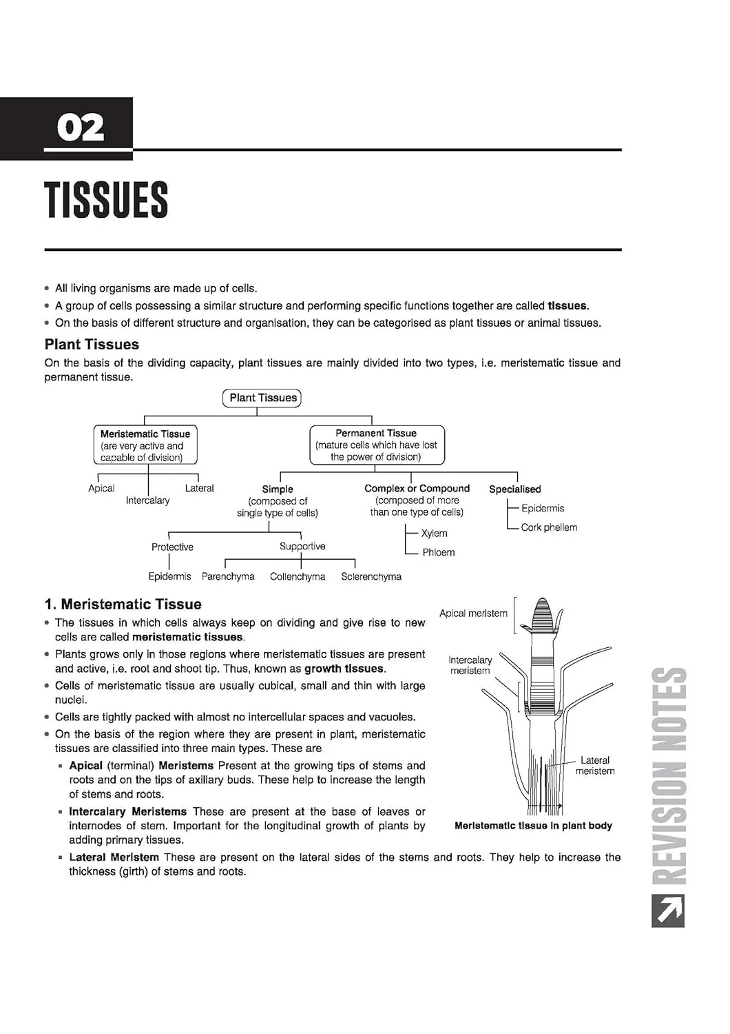 ICSE Biology Class 9 Exam Book | Quick Theory, Exam Pattern Questions & Sample Papers | As per Latest ICSE Syllabus | Que Bee 2nd Edition - Image 6