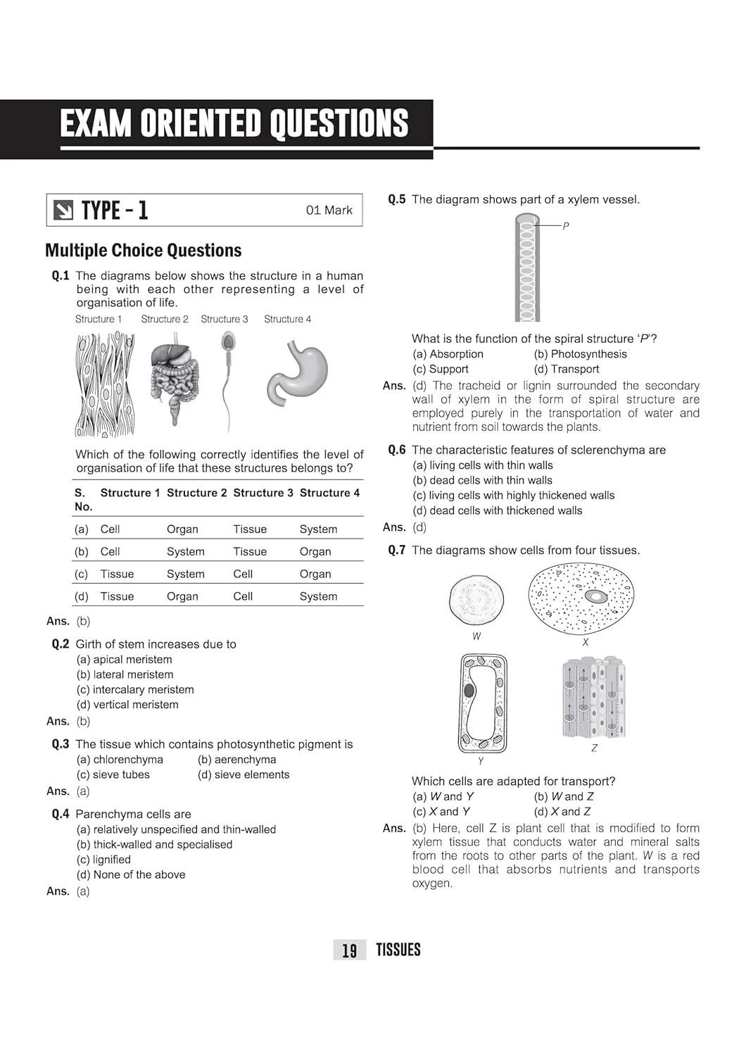 ICSE Biology Class 9 Exam Book | Quick Theory, Exam Pattern Questions & Sample Papers | As per Latest ICSE Syllabus | Que Bee 2nd Edition - Image 8