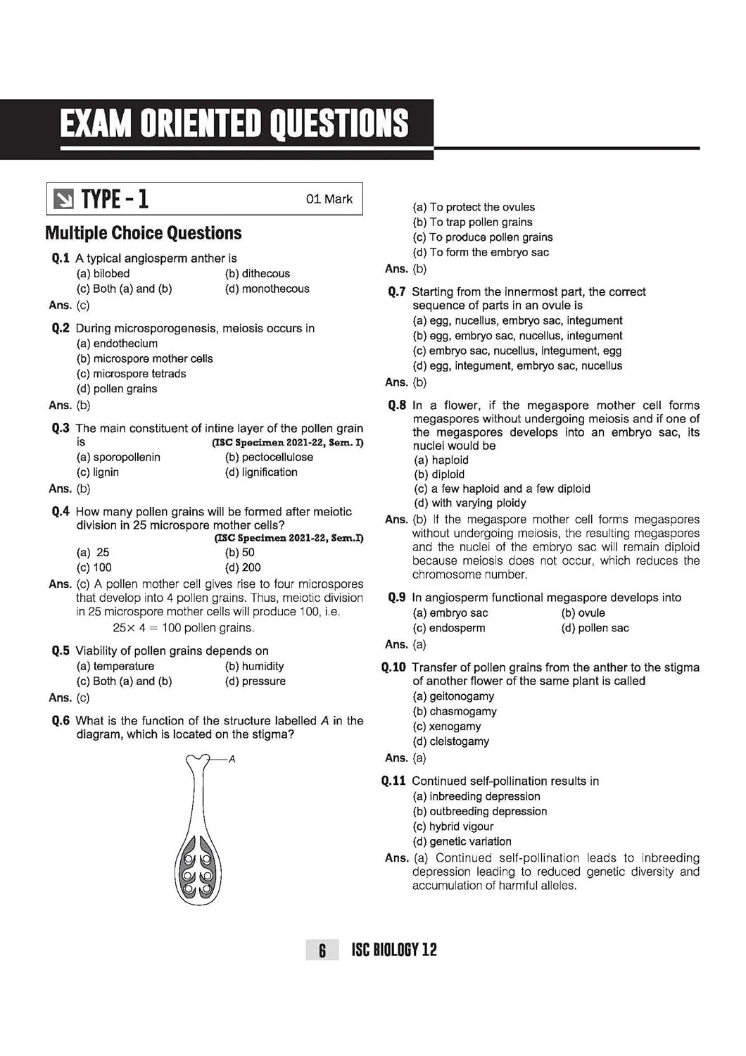 ISC Biology Class 12 Exam | Quick Theory, Exam Pattern Questions & Sample Papers | As per Latest ICSE Syllabus | Que Bee 2nd Edition - Image 7