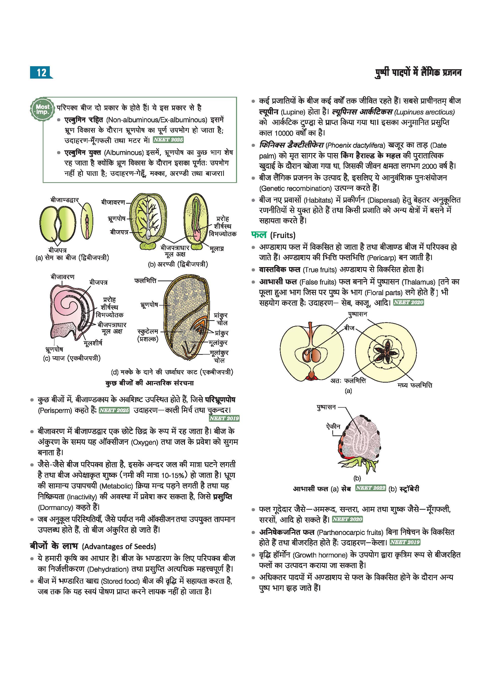 Master the NCERT Jeev Vigyan (Biology) Class 12 | For NEET (UG) & CUET 2026-27 | Line by Line MCQs from Latest NCERT Book | NCERT-Based 2K+ MCQs, AI-Based Misconception Zone | Revised Edition 2027 - Image 8