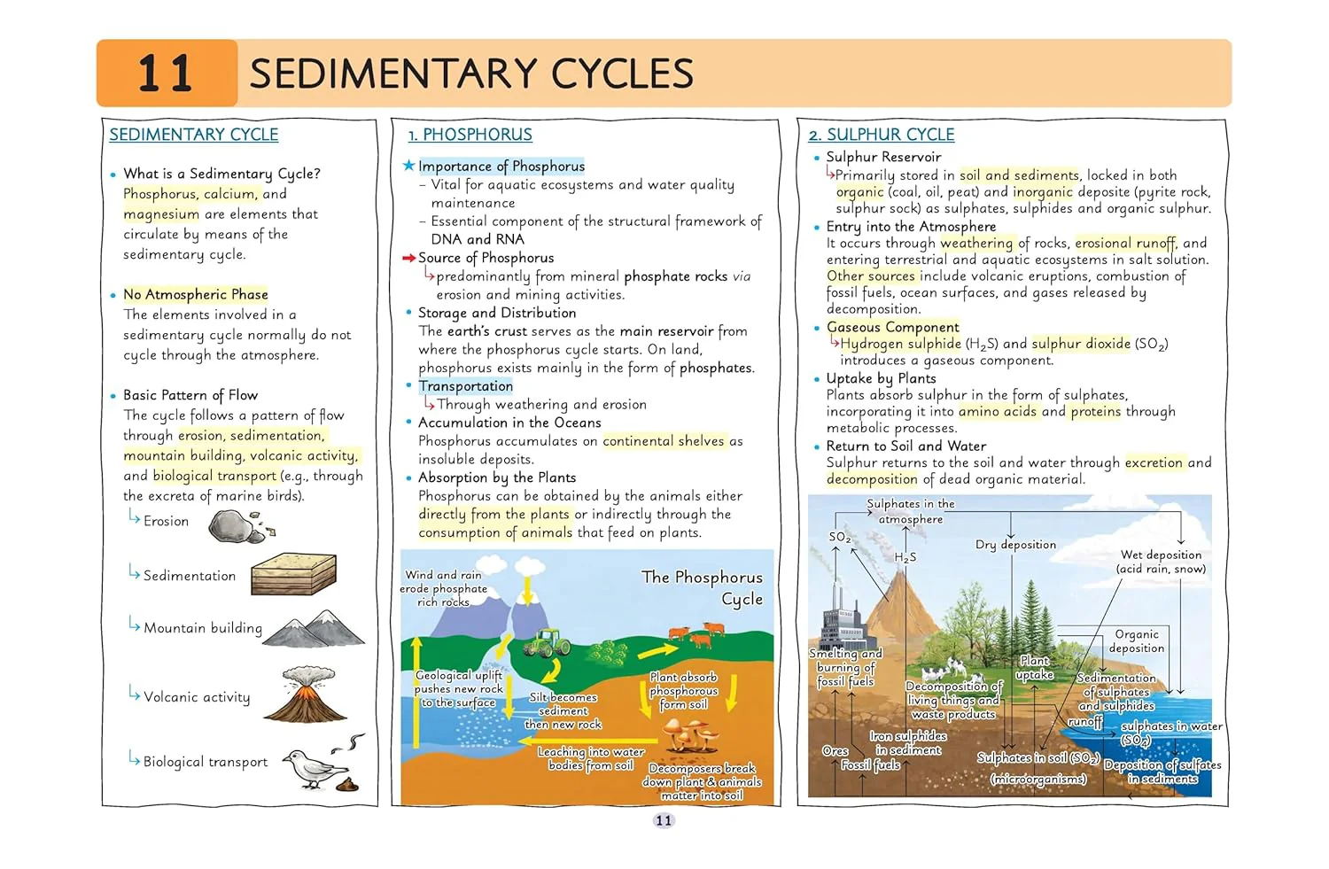 UPSC Prelims Environment | Pixel 1-Pager Revision Notes | Fast Revision, Entire Prelims GS in 1-Page Format, Concept & Fact Infographics with PYQ-Based Preparation - Image 8